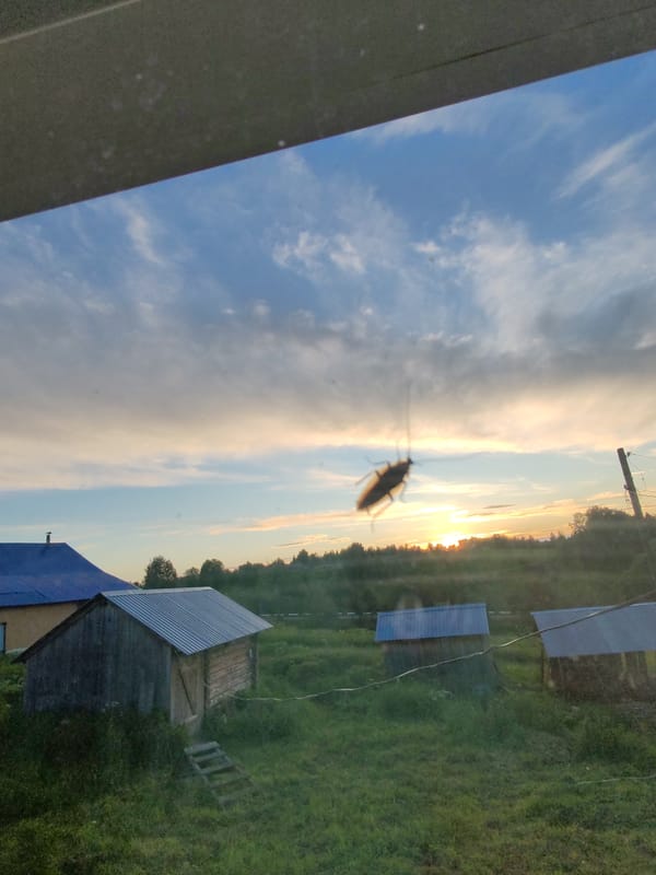 Sunset documented over rural Чухлэм, Russia landscape June 6
