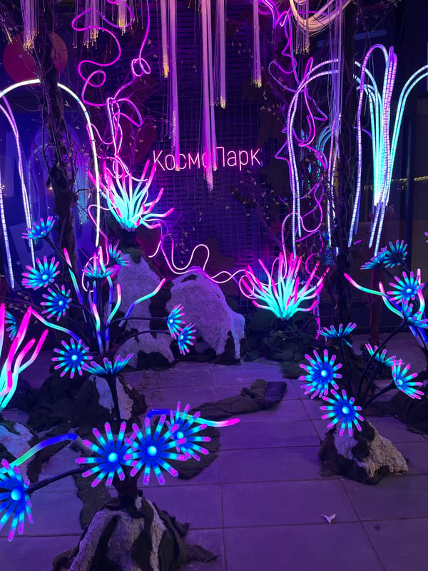Neon art installation lights up Amur River embankment in Blagoveshchensk