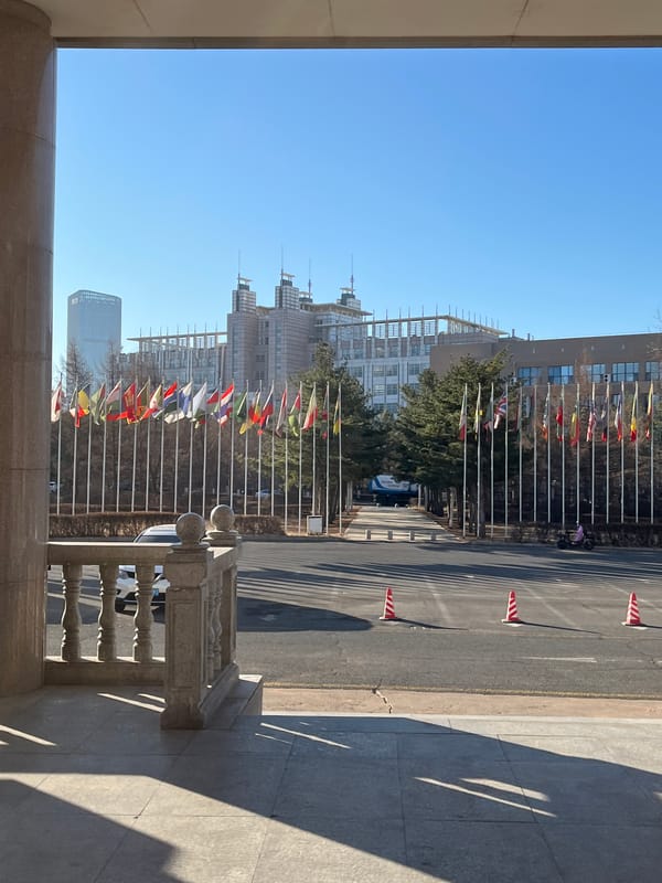 International flags and indoor plants observed at Changchun building