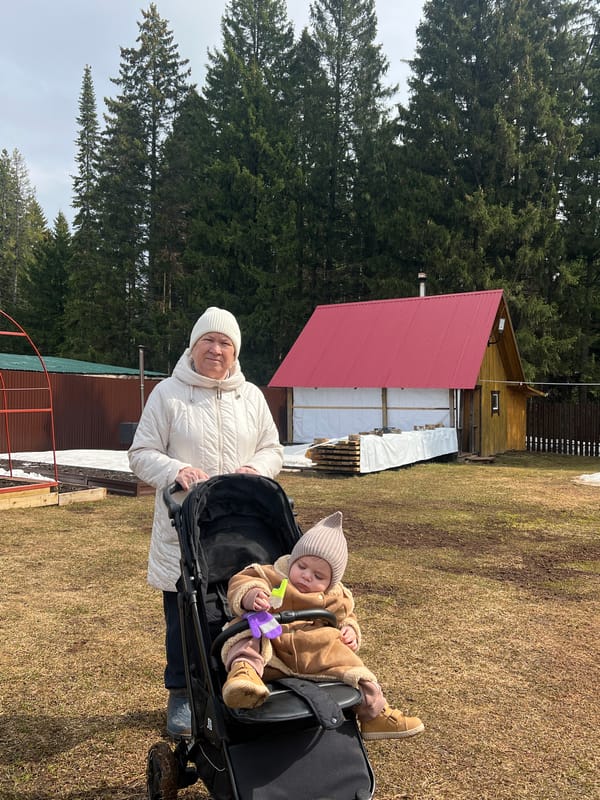 Morning outdoor moments captured in Bol'shakino village