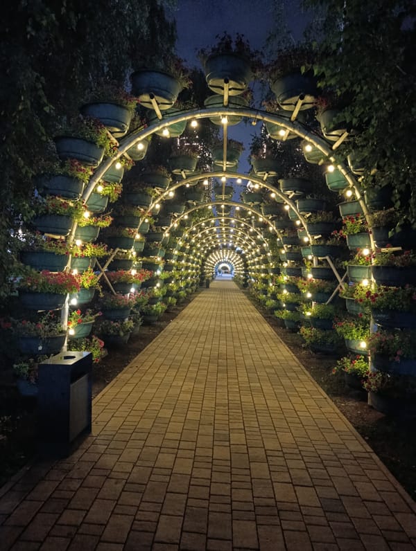 Arched metal tunnel with hanging planters and string lights