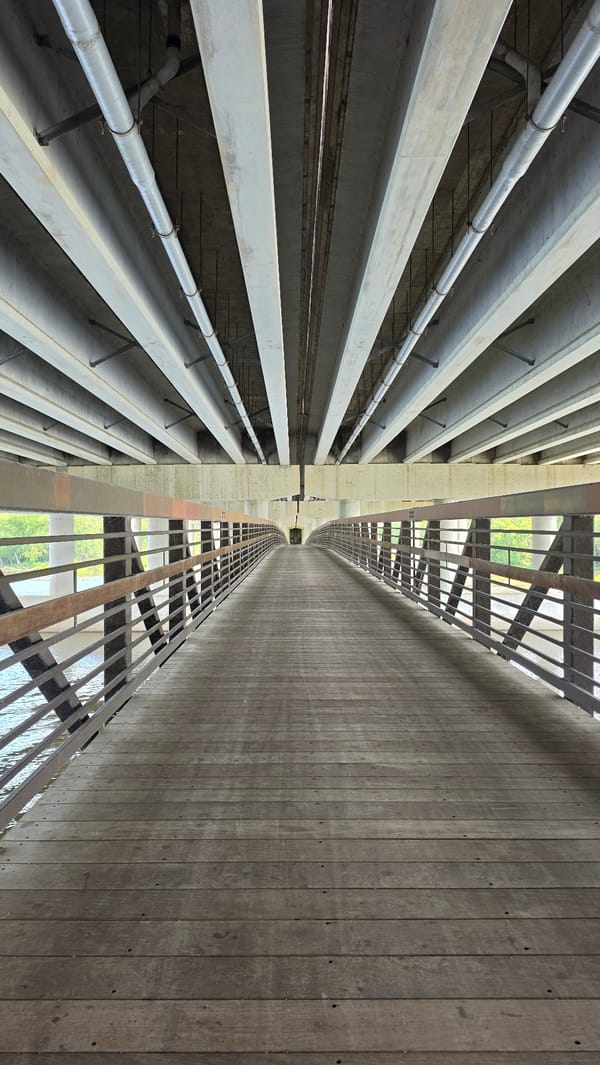 Pedestrian bridge and lily pad pond in Elgin, Illinois