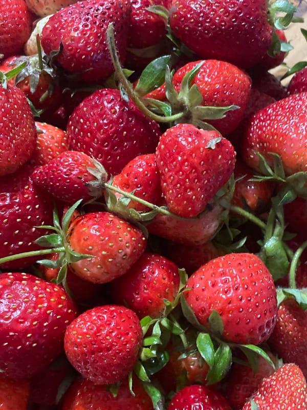 Fresh strawberries photographed in close-up overhead shot