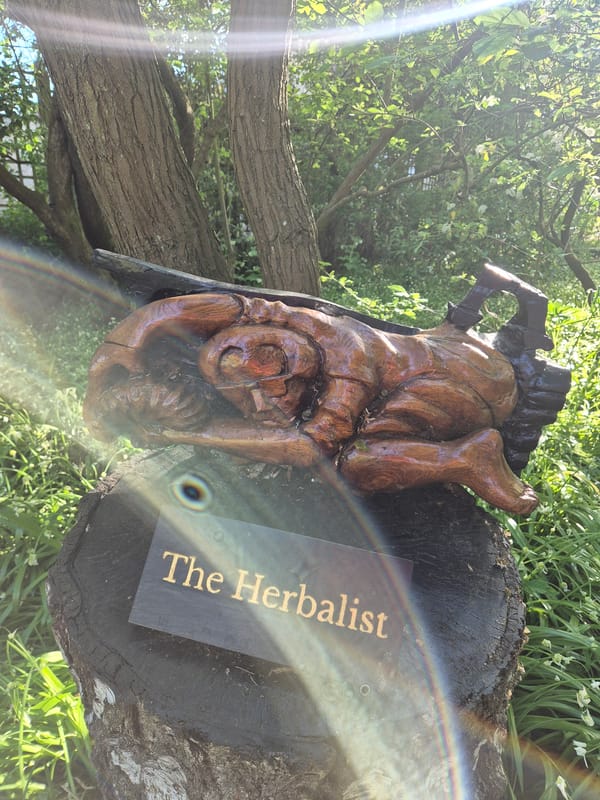 Visitor documents Bury St Edmunds cathedral and spring gardens