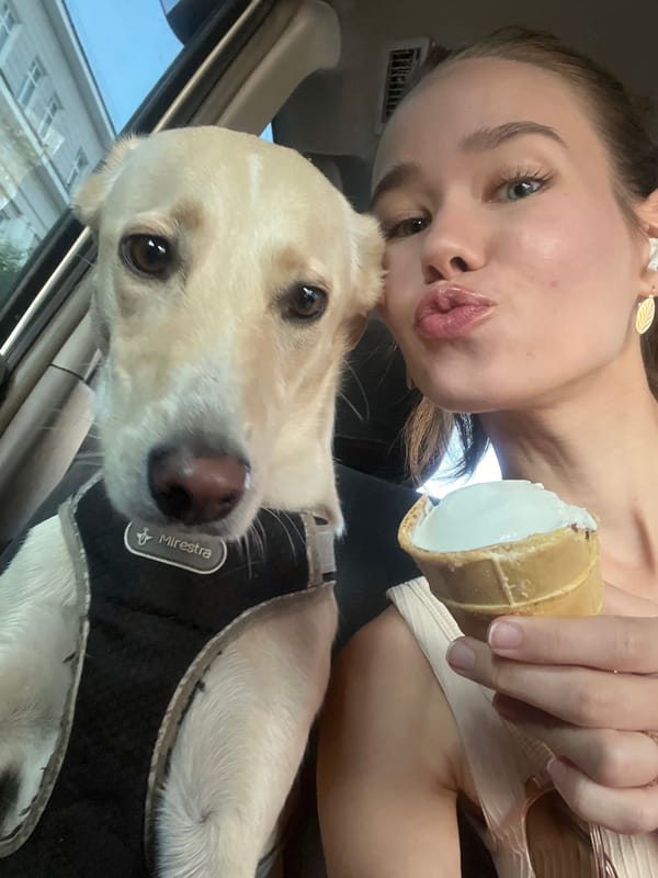 Playful car selfie with a dog in Krasnoyarsk