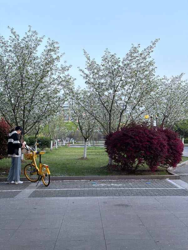 Woman with bicycle spotted near Nanjing University campus