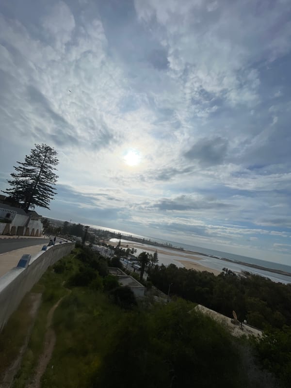 Coastal scenes and roadside kitten observed in Loualidia, Morocco