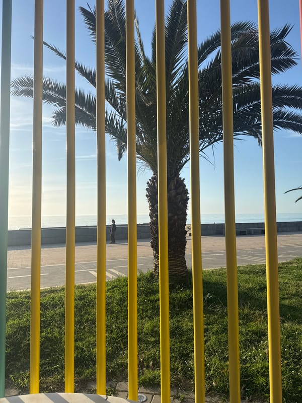 Ordinary afternoon life documented across Batumi's seaside districts
