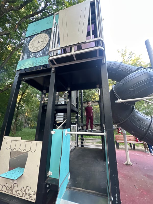 Afternoon at a Moscow residential playground, mid-summer.