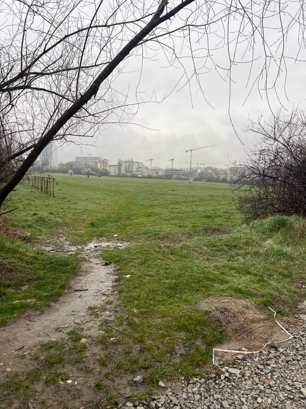 Muddy field with construction activity visible in Sofia