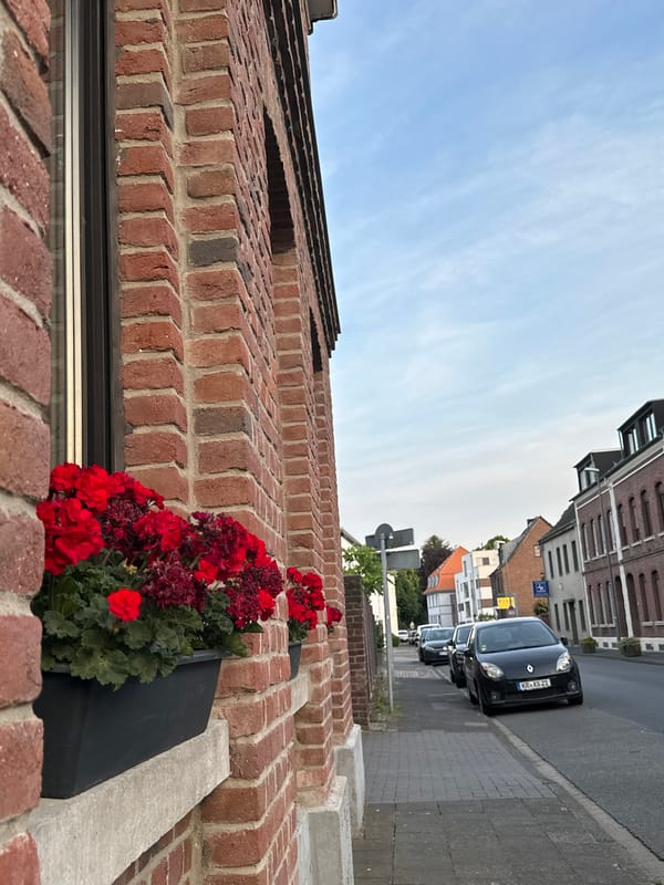 Photographer documents detailed street scenes and vegetation across Krefeld, Germany