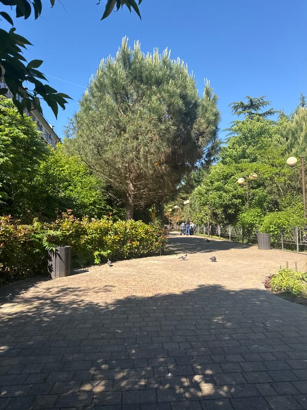 Afternoon park stroll documented in sunny Sochi, Russia