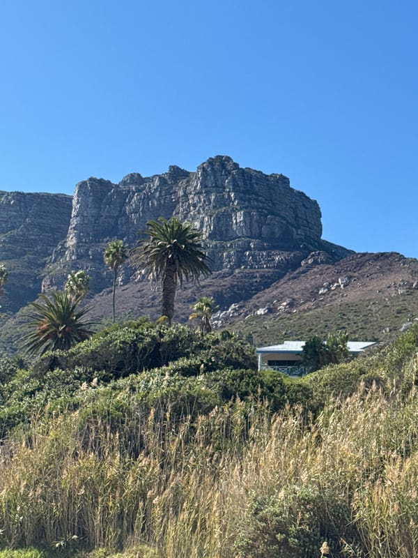 Sunny beach day captured in Hout Bay, South Africa