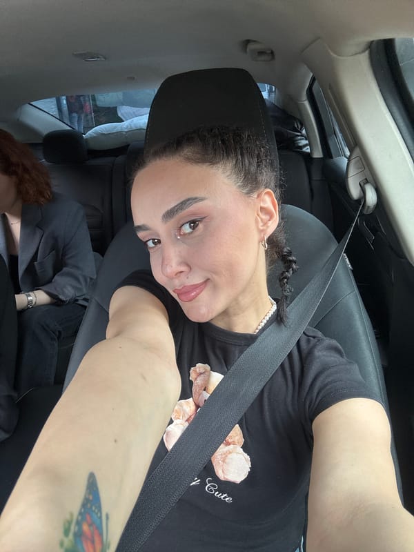 Woman in teddy bear shirt observed in car, Tbilisi