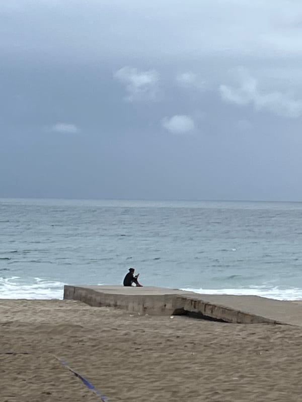 Overcast morning captured at Alanya beach with cats, chairs