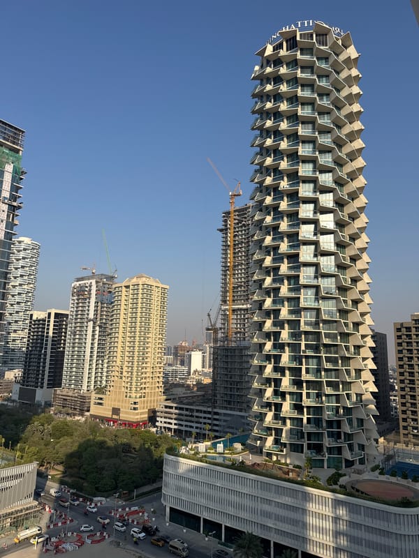 Sphynx cat on a Dubai balcony, skyline and random finds