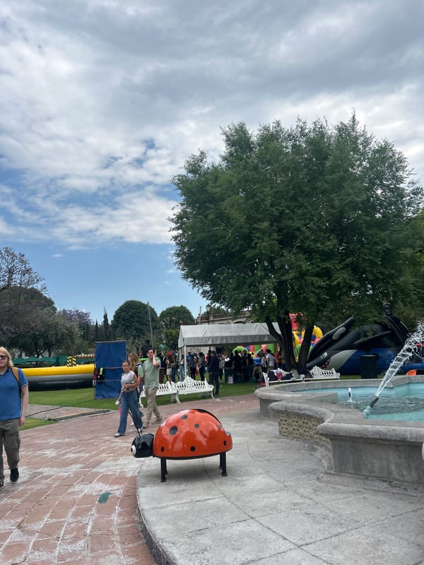 Active fountain draws crowds in park setting