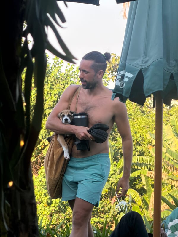 Lattes, a puppy, and a laid-back morning in Mengwi