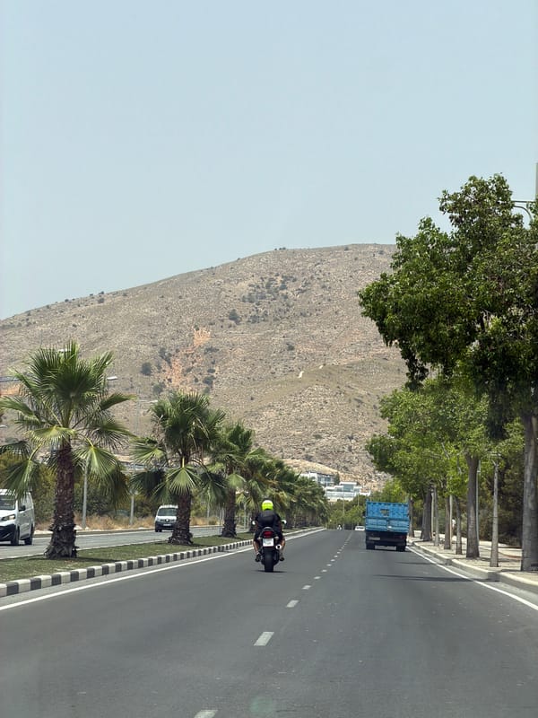 Palm-lined road in Finestrat with a motorcycle passing through