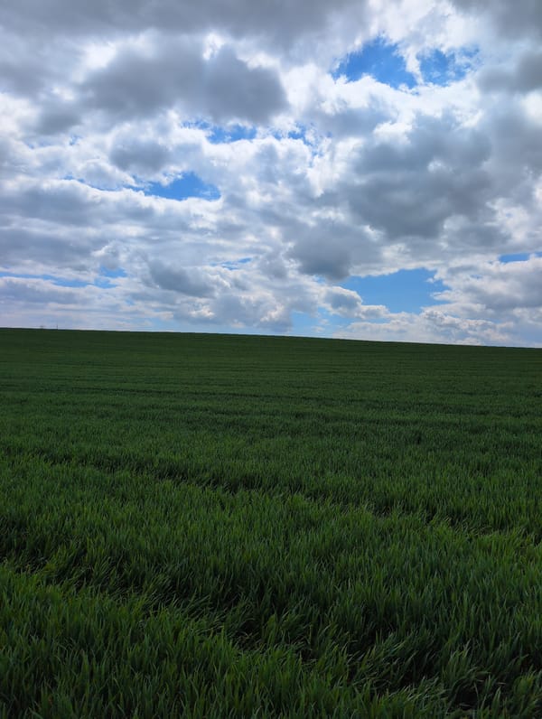 Rural landscape photographed in Trem, Bulgaria shows grassland under cloudy sky