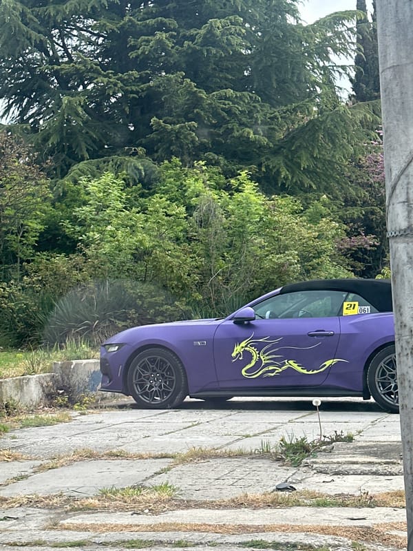 Purple Mustang with dragon decal spotted in Varna