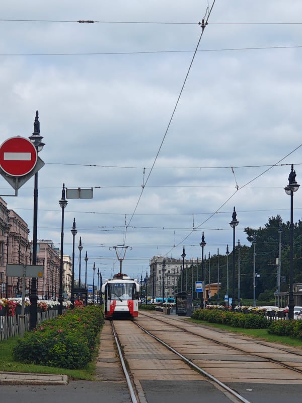 Trams, flowers, and a bakery bag on a Saint Petersburg morning