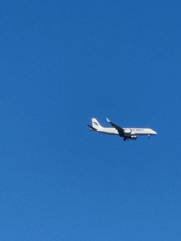 Lazy summer morning outdoors, coffee in hand, planes overhead