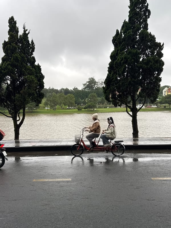 Rainy morning scenes documented around Xuân Hương Lake, Đà Lạt