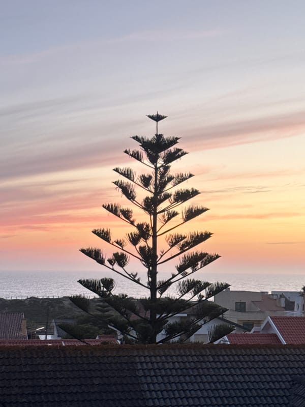 Sunset moments captured by witnesses in Vila Nova de Gaia