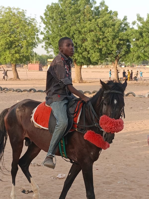 Boy rides decorated horse in Giginyu, Nigeria