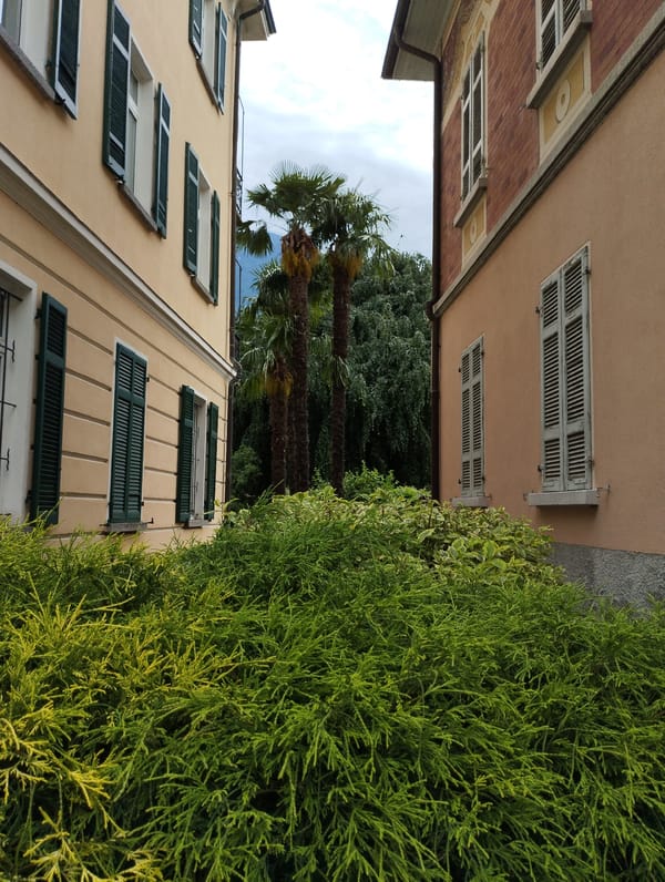 Witness documents 30-minute walking tour through Biasca, Switzerland