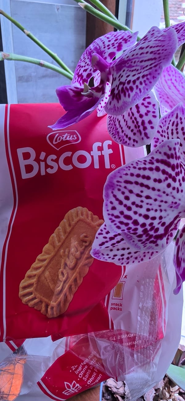 Cookies, orchid, social media post documented in Rudozem
