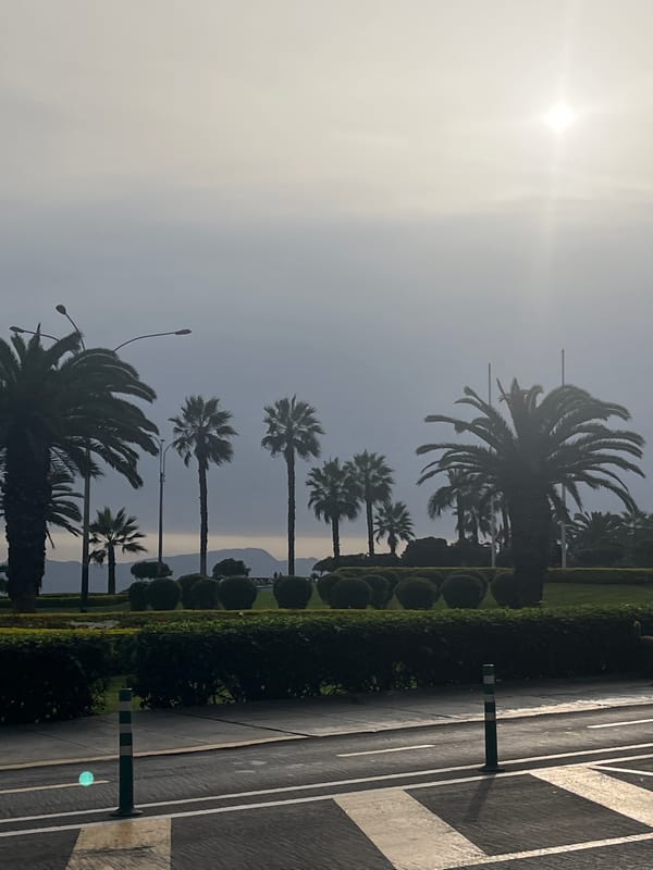 Hazy afternoon scenes captured in Miraflores parks and streets