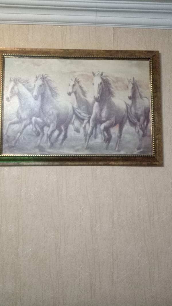 Witness documents home interior details over seven minutes