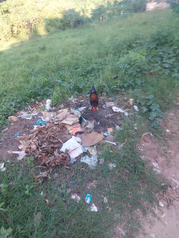 Children navigate debris-lined dirt roads in Dar es Salaam