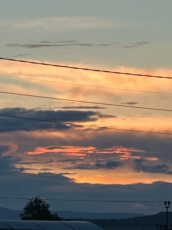 Witness captures twilight scenes across multiple locations during golden hour