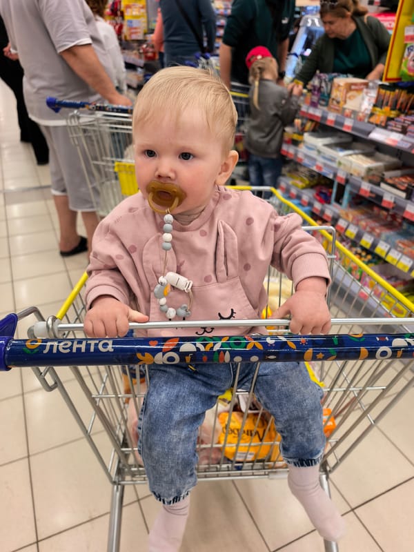 Toddler in pink sweatshirt photographed in shopping cart, Sterlitamak