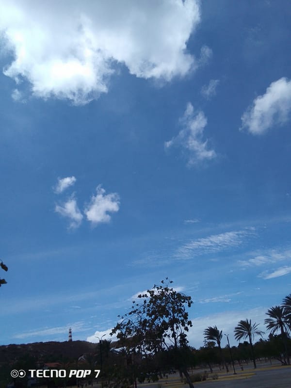 Tropical daytime scene captured in Pedro González, Venezuela