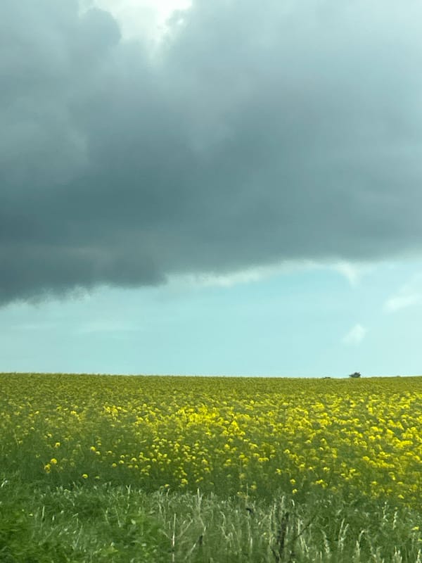 Witness documents spring landscapes, manicured nails, urban scenes over 38 minutes