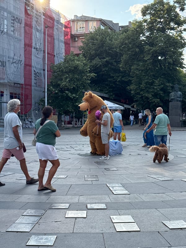 Bear costume character with balloons in Varna plaza