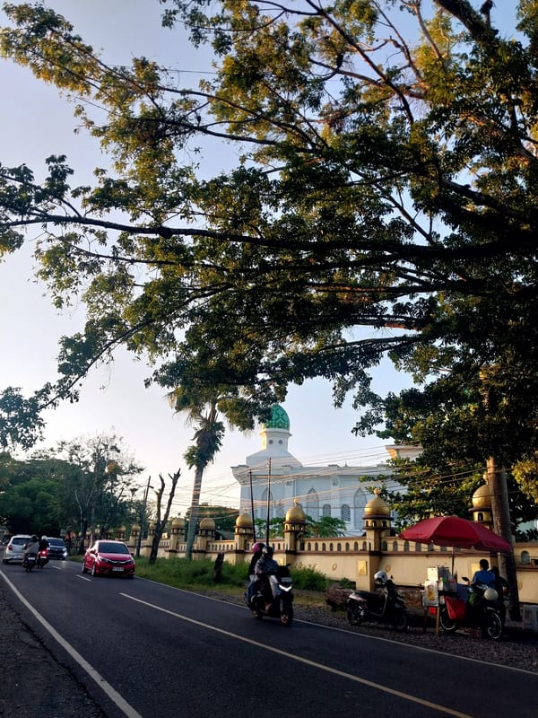 A quiet morning in South Sulawesi, cats, selfies, and streets