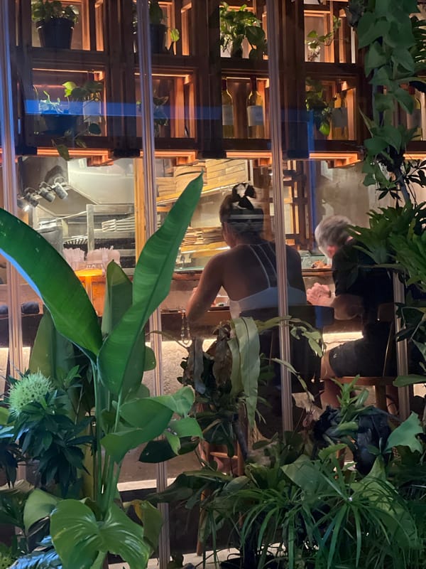 Tourist activities documented across Ubud temples cafes shops