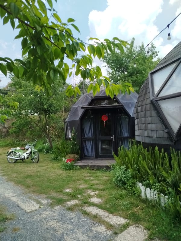 Early morning scenes documented in Da Lat gardens and cityscape