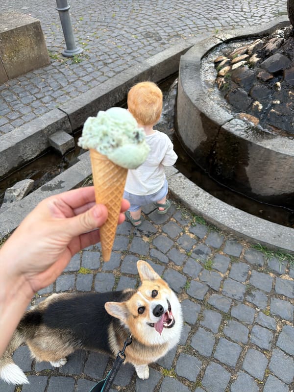 Pizza, ice cream, and a Corgi in Meisenheim