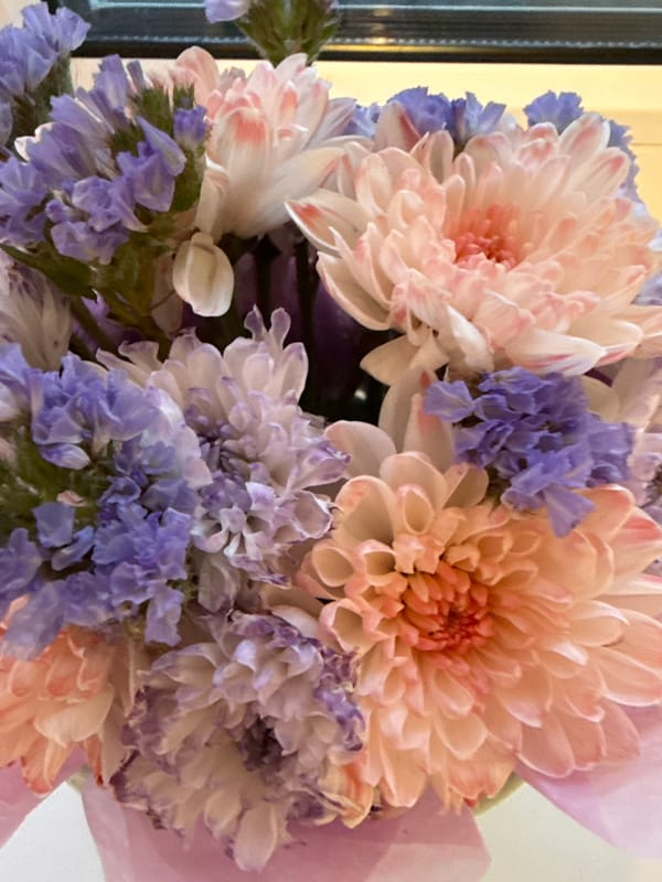 Pastel bouquets and pets on a quiet afternoon