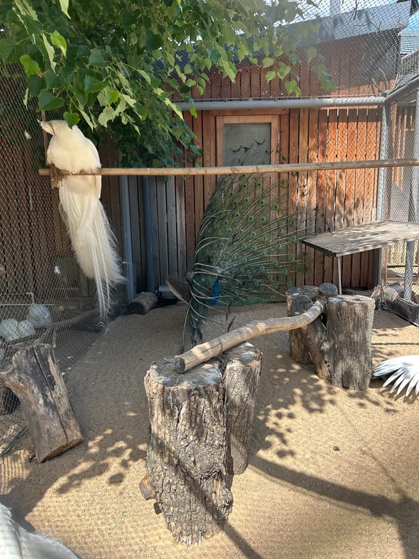 Family visits Moscow Zoo with children on sunny afternoon