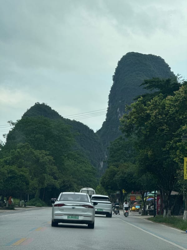 Traffic and pedestrians observed on rural road near Guilin
