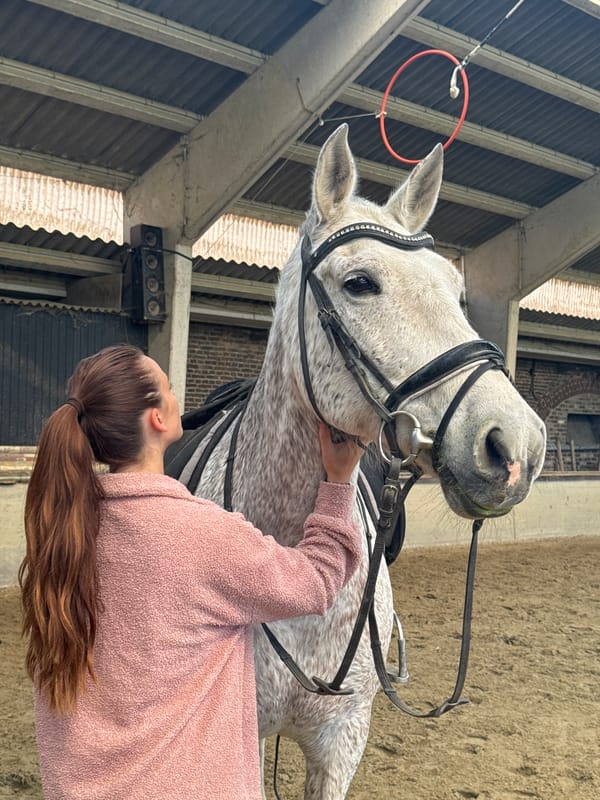 Woman shares quiet moment with horse at Belgian equestrian facility