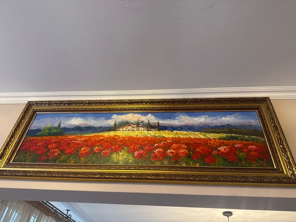 Interior scenes with art, decor, and pet documented in Plovdiv