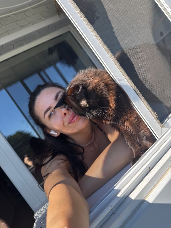 Balcony selfies with a black cat in Chaikovsky, Russia
